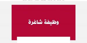 وظيفة جامعة.. الجامعة الليبية الدولية تعلن عن وظائف أعضاء هيئة تدريس في 14 تخصص - نبض مصر