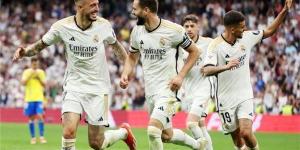 دورى ابطال اوروبا.. تعرف على معلق مباراة ريال مدريد ضد شتوتجارت - نبض مصر