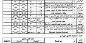 تخفيض الحد الأدنى لتنسيق الصف الأول الثانوي الفني في الشرقية - نبض مصر