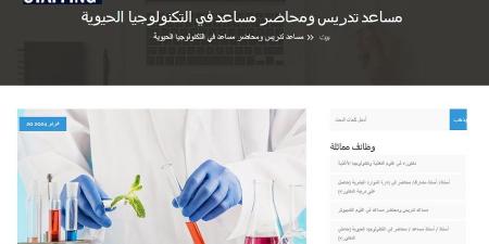 وظيفة جامعة.. جامعة اكتوبر للعلوم الحديثة والآداب تعلن عن وظائف أعضاء هيئة التدريس.. التفاصيل الكاملة - نبض مصر