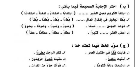 مراجعات نهائية .. تنوين الهمزة المتطرفة.. اختبار في ورقة واحدة سادسة ابتدائي - نبض مصر