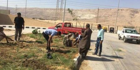 محافظ أسيوط: استمرار تنفيذ أعمال تشجير وزراعة شتلات بمركز أبوتيج ضمن مبادرة ”زراعة 100مليون شجرة” - نبض مصر