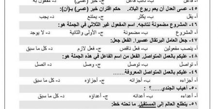 مراجعات نهائية.. تحميل 300 سؤال وإجابتها في النحو الصف الأول الثانوي - نبض مصر