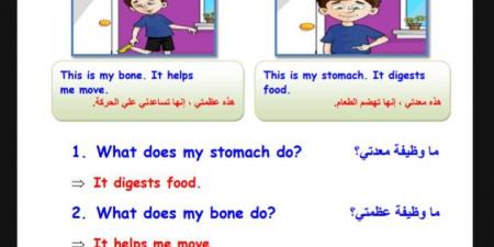 مراجعات نهائية.. 24 سؤالا اللغة الانجليزية في 4 ورقات لـ الصف الثالث الابتدائي - نبض مصر