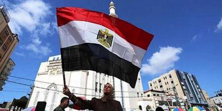 غدًا.. بدء تركيب مصيدة قلب المفاعل بالوحدة النووية الثالثة في محطة الضبعة - نبض مصر