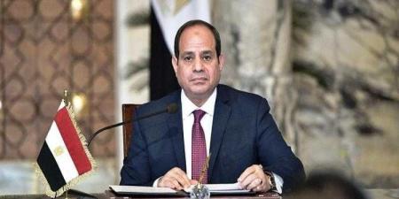 السيسي: مصر لها موقف ثابت تجاه القضية العادلة للشعب الفلسطيني - نبض مصر