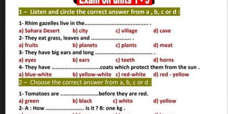 مراجعات نهائية.. امتحان لغة انجليزية على 3 وحدات لـ الصف الرابع الابتدائي ترم اول - نبض مصر