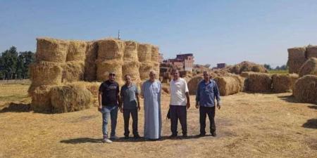 جهود مكثفة لدعم القطاع الزراعي وتوعية المزارعين في الشرقية - نبض مصر