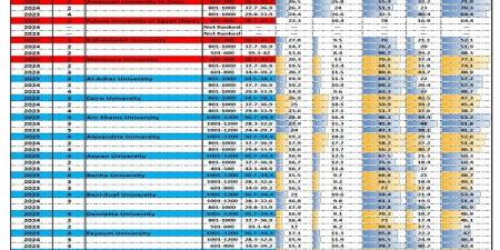 التعليم العالي تكشف عن 35 جامعة مصرية تُسجل إنجازًا مميزًا في تصنيف التايمز العالمي لعام 2025 - نبض مصر