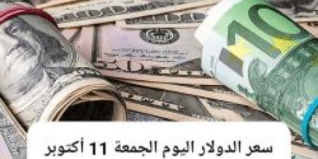 الجنيه المصري يحافظ على استقراره مقابل سعر الدولار اليوم الجمعة 11 - 10 - 2024 - نبض مصر