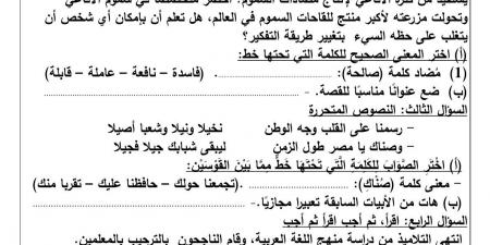 اختبار شهر أكتوبر للصف السادس الابتدائي لغة عربية 2024 /2025 - نبض مصر