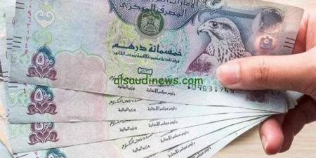 تعرف على سعر الدرهم الاماراتي أمام الجنيه المصري اليوم الثلاثاء - نبض مصر