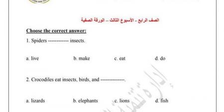 مراجعات نهائية.. اسئلة تقييم الأسبوعين الثالث والرابع لغة انجليزية الصف الرابع الابتدائي - نبض مصر