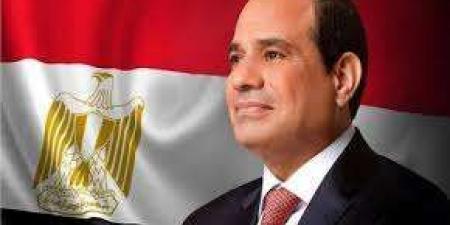 السيسي :تجاوزنا أزمة فيروس سي ..من أكبر الأزمات على المستوى الصحي بمصر - نبض مصر