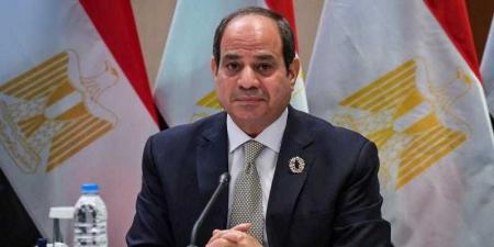 السيسي: جارٍ الانتهاء من تصديق النواب على ... - نبض مصر