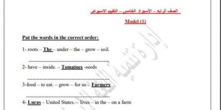 مراجعات نهائية.. اسئلة تقييم الأسبوع الخامس لغة انجليزية الصف الرابع الابتدائي - نبض مصر