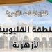 رئيس أزهرية القليوبية يتفقد امتحانات الشفوي لمسابقة القبول لمعاهد القراءات - نبض مصر