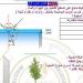 مراجعات نهائية.. أسئلة تقييم الأسبوعين الرابع والخامس الفيزياء الصف الثاني الثانوي - نبض مصر