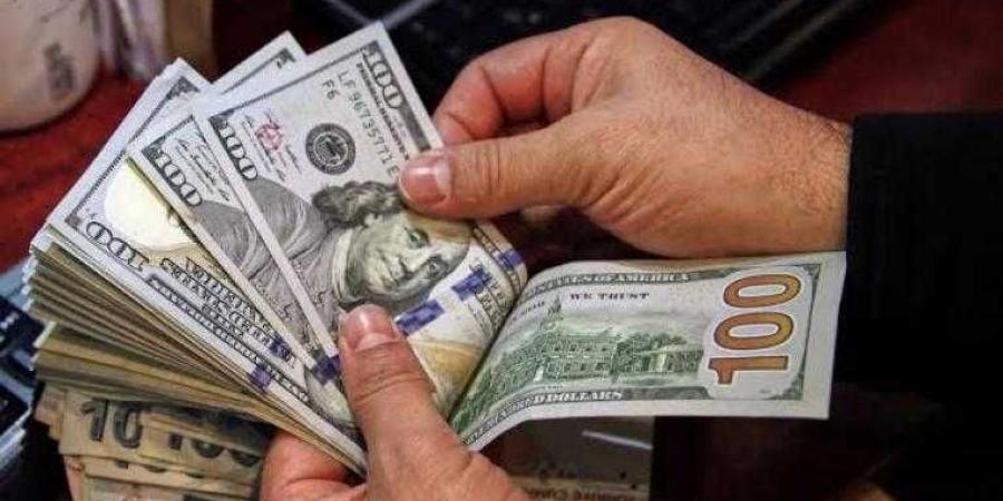 الأخضر متأرجح.. سعر الدولار اليوم الإثنين في البنوك - نبض مصر