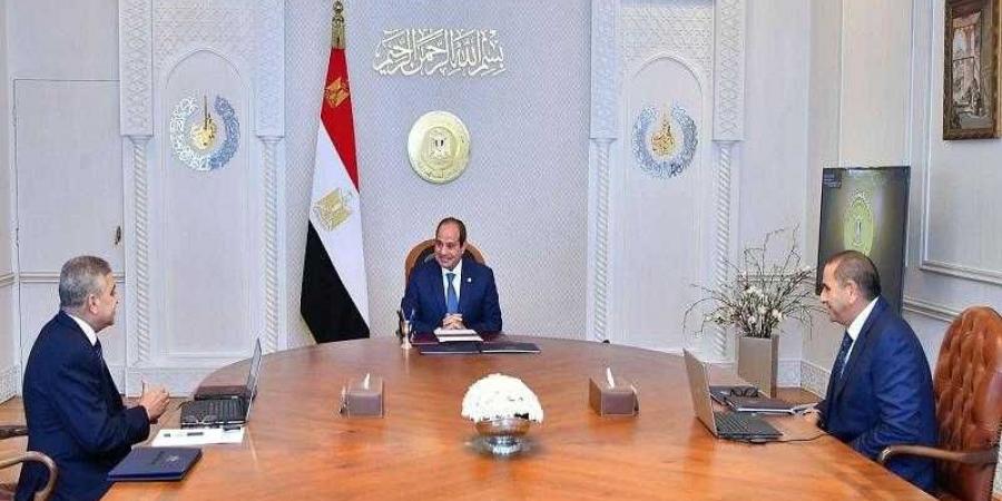 الرئيس السيسي يوجه باستمرار العمل على الخدمات الملاحية والبحرية - نبض مصر