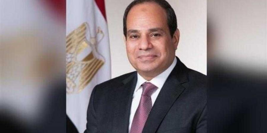 السيسي يوجه بإجراء مراجعة دقيقة لأوجه صرف ... - نبض مصر