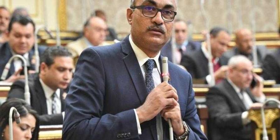 برلماني: الجميع متضرر من قانون الإيجار القديم سواء الملاك أو المستأجرين لهذا السبب - نبض مصر