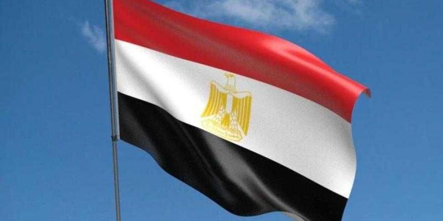 خبير علاقات دولية: مصر تتبع نهج الحكمة لوقف العدوان على غزة رغم التعنت الإسرائيلي - نبض مصر