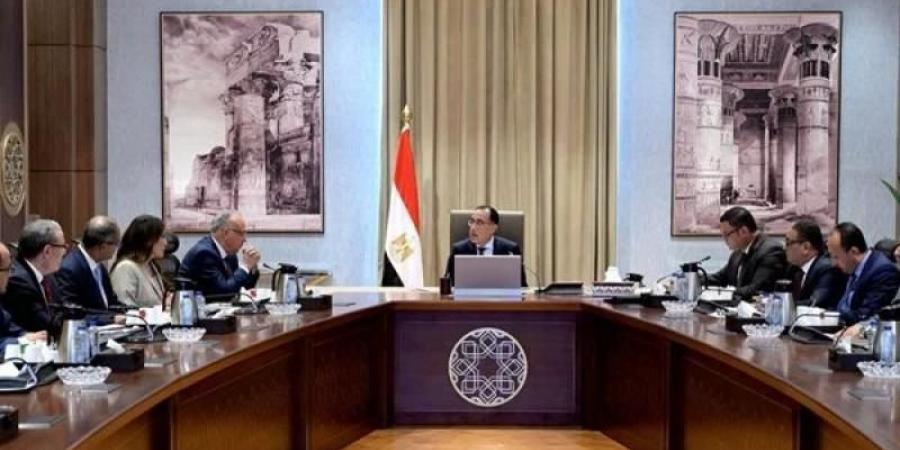 رئيس الوزراء يترأس اجتماع المجلس الأعلى للأمن السيبراني - نبض مصر