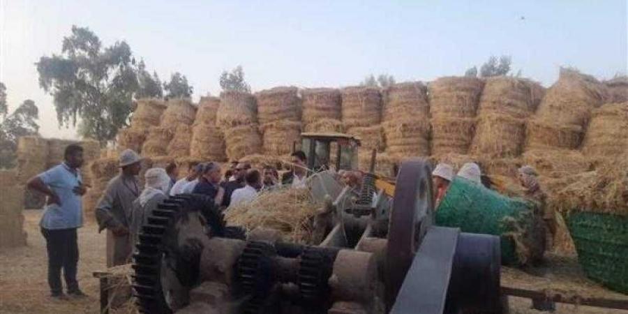 الزراعة: جمع وتدوير ٤٢٦ ألف طن من قش الأرز في ٥ محافظات حتى الآن - نبض مصر