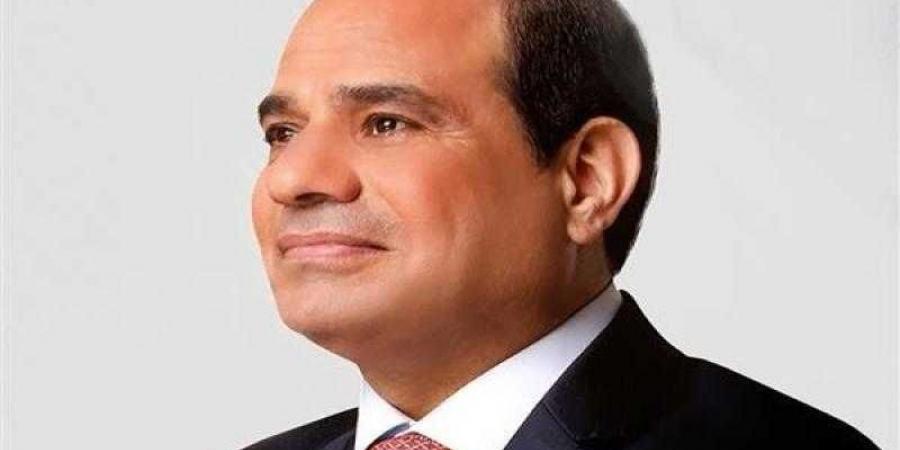 السيسي للمصريين: لازم نستمر في صمودنا واستقرارنا لنحقق ما ننشده لبلدنا - نبض مصر