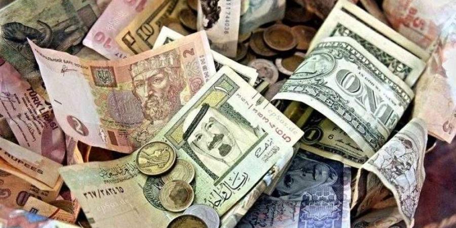 سعر الدولار مقابل الجنيه اليوم الثلاثاء - نبض مصر