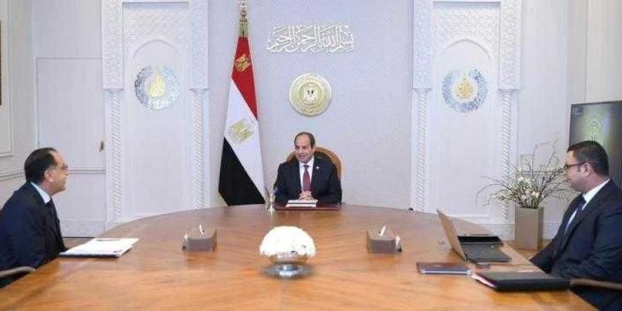 الرئيس السيسي: ضرورة تكثيف الجهود لتعظيم ... - نبض مصر