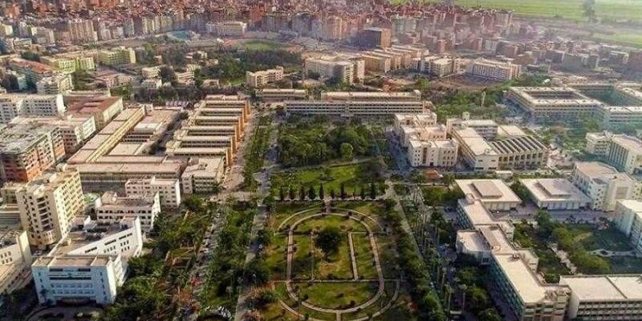 جامعة المنصورة تحقق المركز الأول في مجال محو الأمية دورة يوليو 2024 - نبض مصر