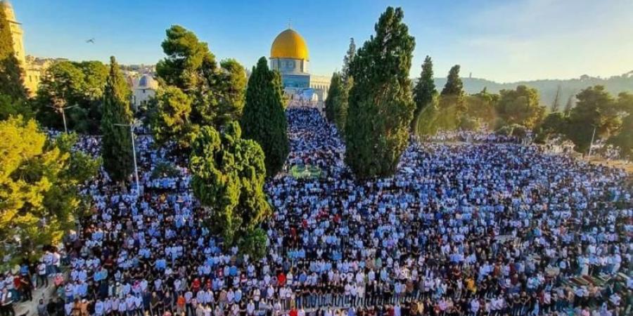 تعرف على تفاصيل خطبة الجمعة في المسجد الأقصى اليوم - نبض مصر