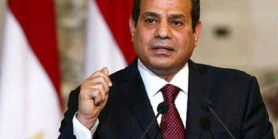 السيسي: هدفنا أن نعيش بسلام داخل حدودنا - نبض مصر