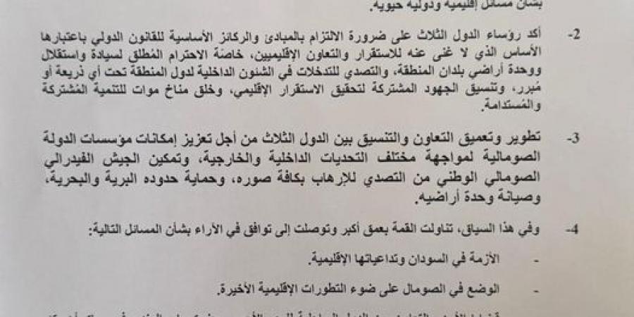 قمة مصرية إريترية صومالية .. ماذا حمل البيان المشترك للدول الثلاث؟ - نبض مصر