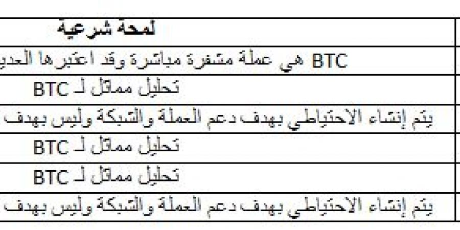 العملات الرقمية الحلال - نبض مصر