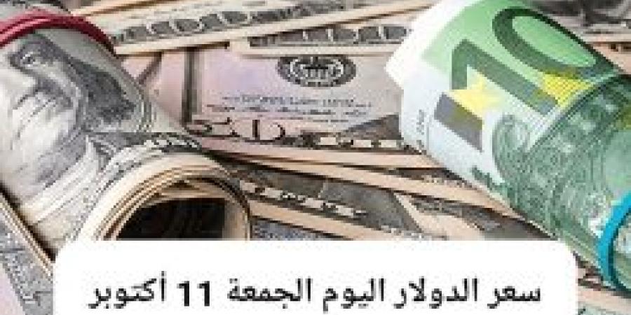 الجنيه المصري يحافظ على استقراره مقابل سعر الدولار اليوم الجمعة 11 - 10 - 2024 - نبض مصر