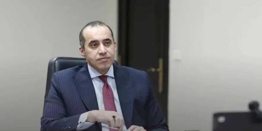 المستشار محمود فوزي: صندوق مصر السيادي ليس بوابة خلفية لنقل الأصول - نبض مصر