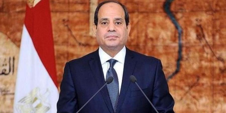 السيسي يدعو المجتمع الدولي لزيادة دعم دول إفريقيا في إدارة موارد المياه - نبض مصر