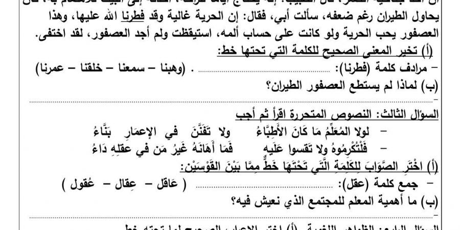 نماذج امتحانات شهر أكتوبر بمادة اللغة العربية لطلاب الخامس الابتدائي - نبض مصر