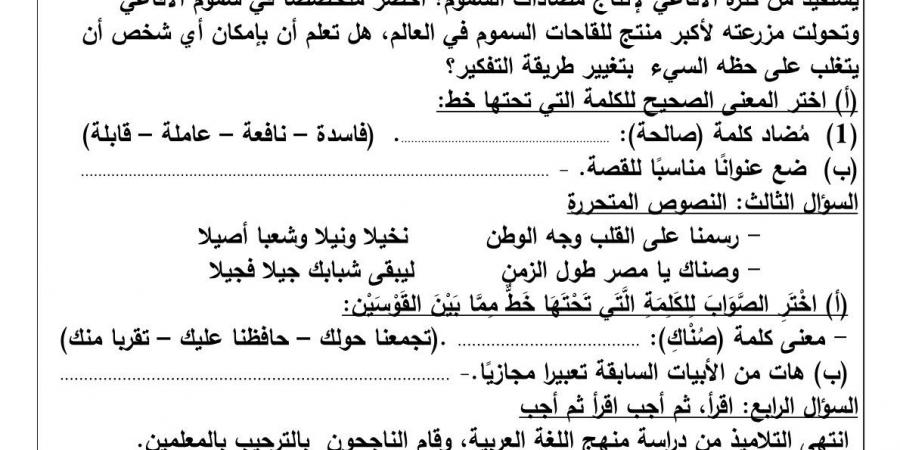 اختبار شهر أكتوبر للصف السادس الابتدائي لغة عربية 2024 /2025 - نبض مصر