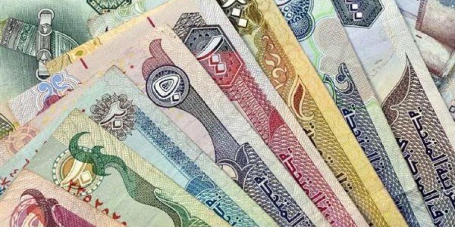 أسعار العملات العربية اليوم 14-10-2024.. سعر الريال السعودي 12.91 جنيه للبيع - نبض مصر