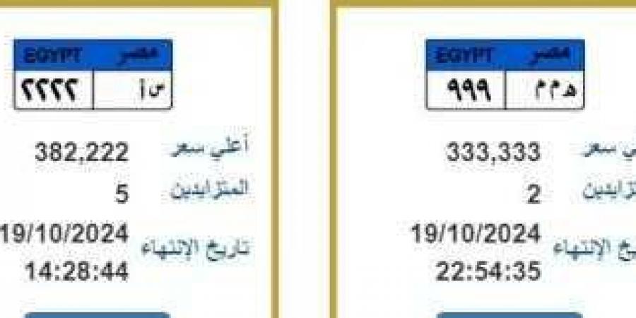 لوحات معدنية مميزة جديدة تدخل المنافسة بأكثر من نصف مليون جنيه - نبض مصر