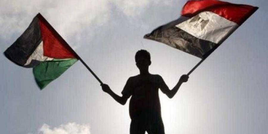 خبير: مصر لن تخون الشعب الفلسطيني أو تتنازل عن حقوقه - نبض مصر