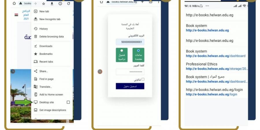 كيفية تصفح الكتاب التفاعلي بجامعة حلوان من على الهاتف المحمول - نبض مصر