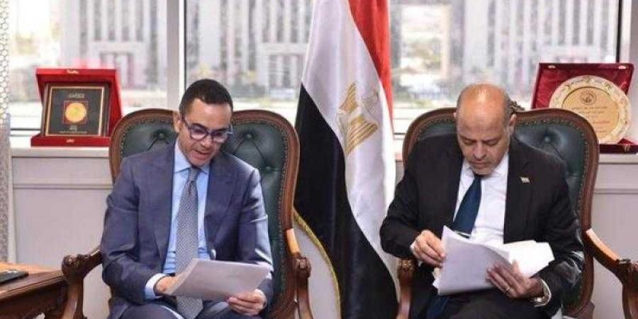 وزير العمل يبحث مع وزير الاستثمار تفعيل سُبل التعاون في الملفات المٌشتركة - نبض مصر