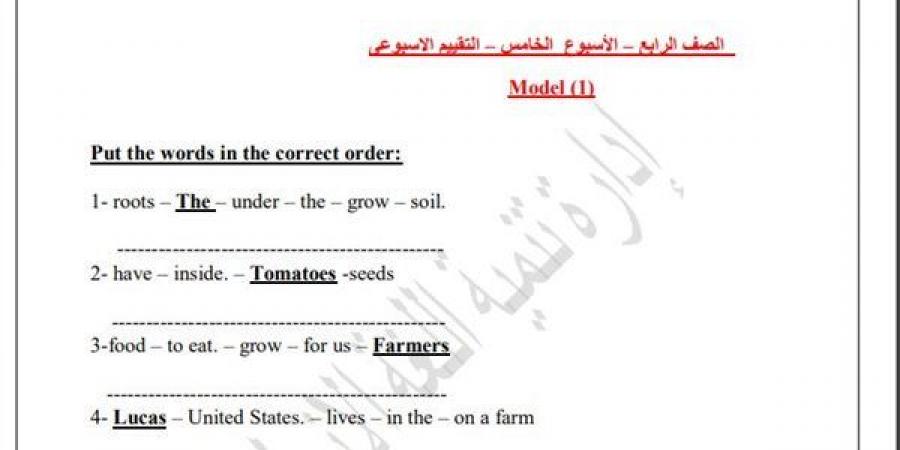 مراجعات نهائية.. اسئلة تقييم الأسبوع الخامس لغة انجليزية الصف الرابع الابتدائي - نبض مصر