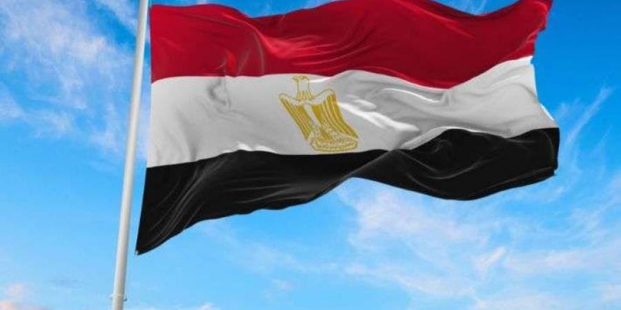 مصر تطالب بضرورة احترام القانون الدولي والقانون الإنساني الدولي وميثاق الأمم المتحدة - نبض مصر