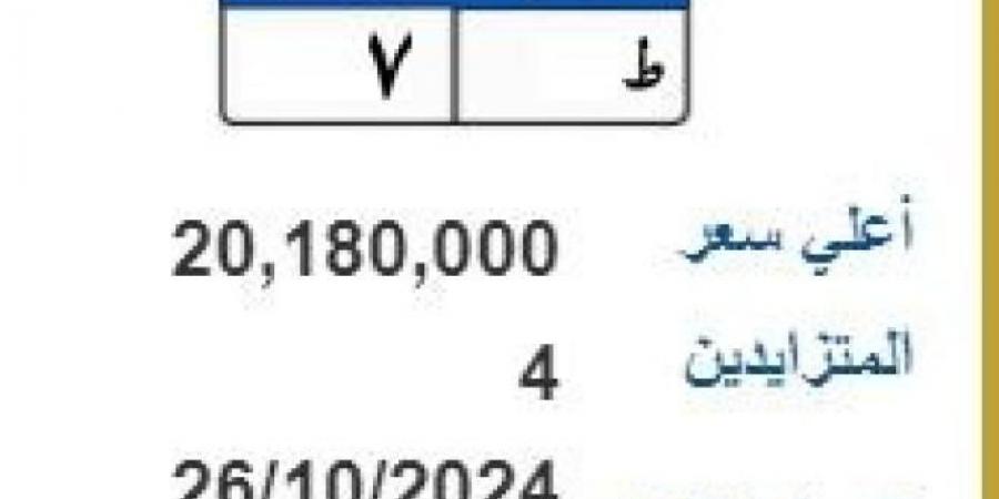 لوحتك باسمك .. طرح لوحة معدنية بأكثر من 20 مليون جنيه - نبض مصر